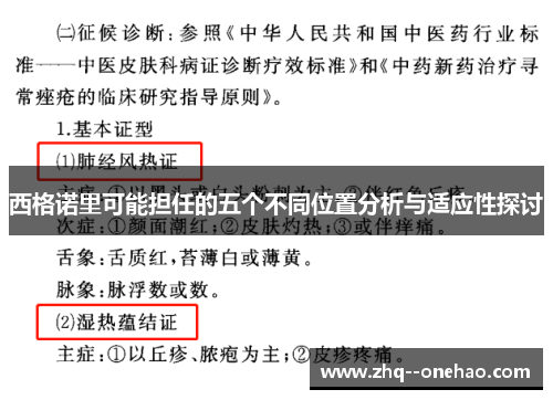 西格诺里可能担任的五个不同位置分析与适应性探讨 西格诺里可能担任的五个不同位置分析与适应性探讨