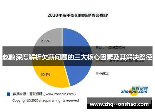 赵鹏深度解析欠薪问题的三大核心因素及其解决路径