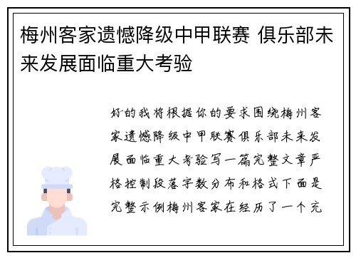 梅州客家遗憾降级中甲联赛 俱乐部未来发展面临重大考验